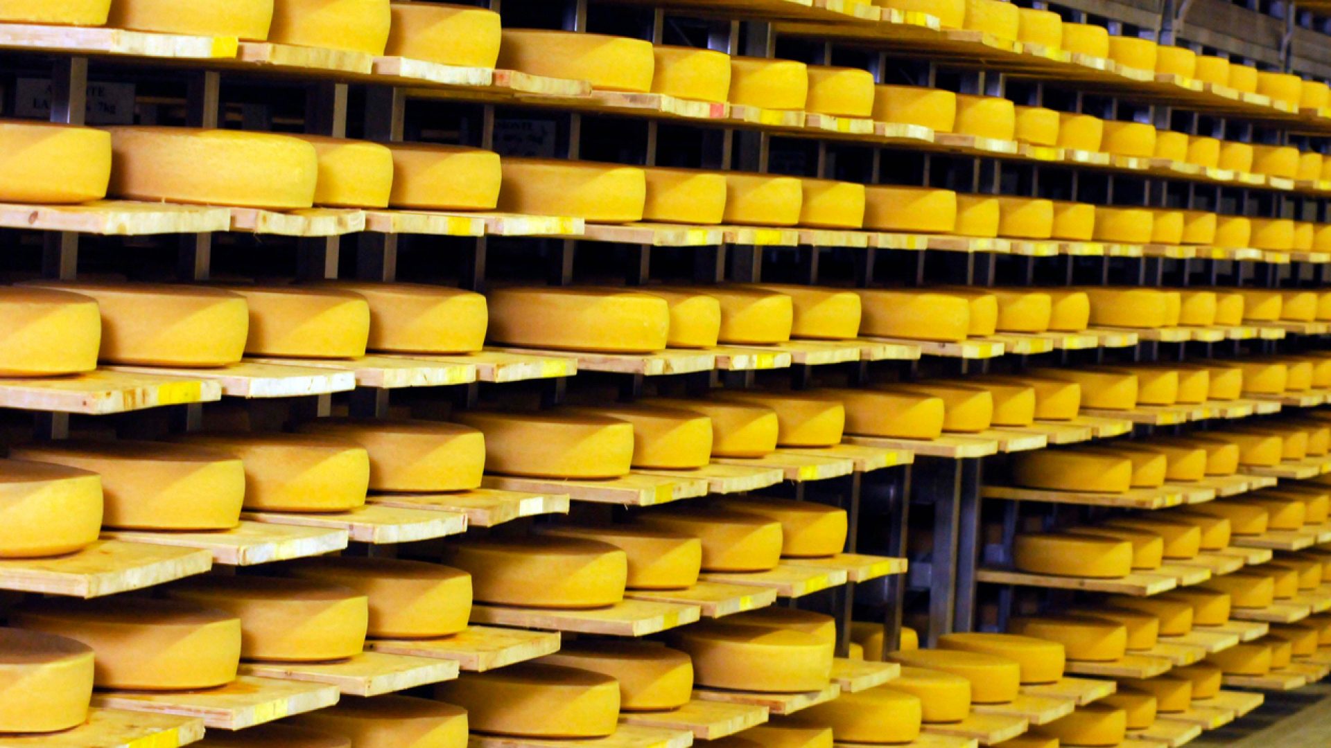industrial-food-production